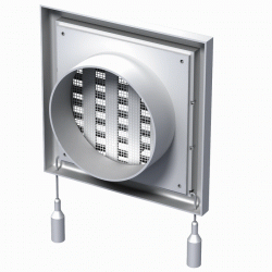 Вигляд ззаду